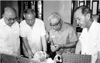 考古百年：构建中华文明发展脉络