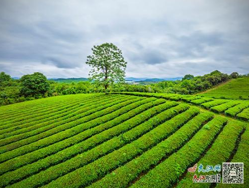 【创建东亚文化之都】景德镇：文旅产业有了新高度（图）